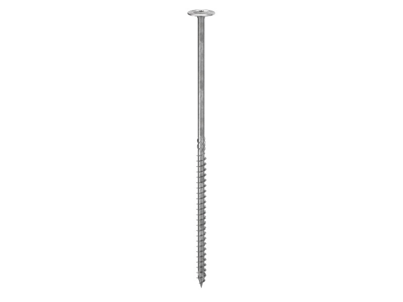 vite-a-testa-larga-xl-tbs-max