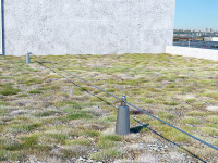 linea-vita-ad-appoggio-green-line