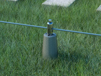 green-line-applicazione-1