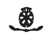 imbottitura-per-caschi-padding